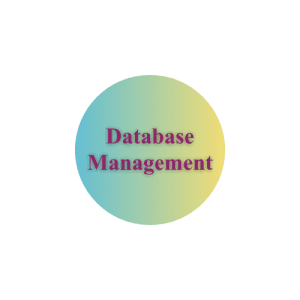 Database Management, web maintenance services